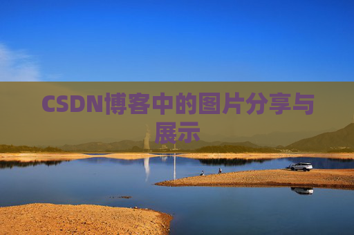 CSDN博客中的图片分享与展示